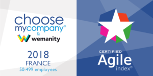 Synetis happy-at-work-index agile