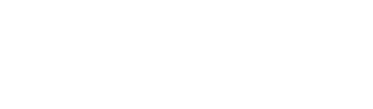 logo CERT Intelligence corner