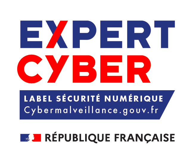 LOGO-EXPERT-CYBER-Synetis